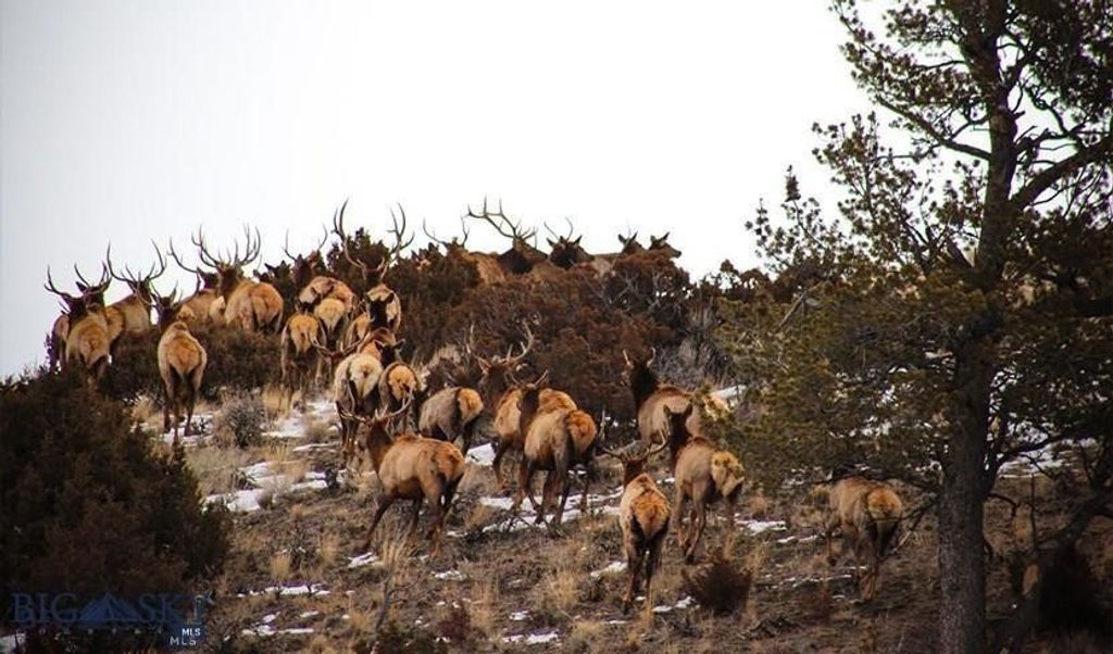 TBD Lookout Trail, Ramsay, MT 59701 photo 33