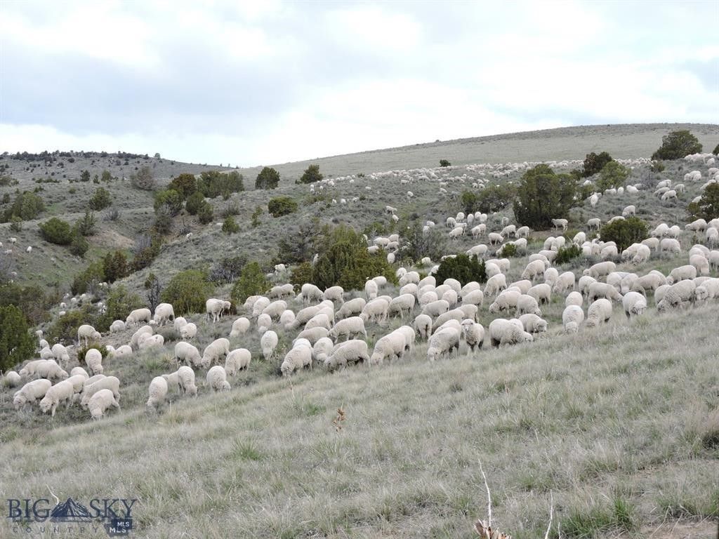 TBD Lookout Trail, Ramsay, MT 59701 photo 34