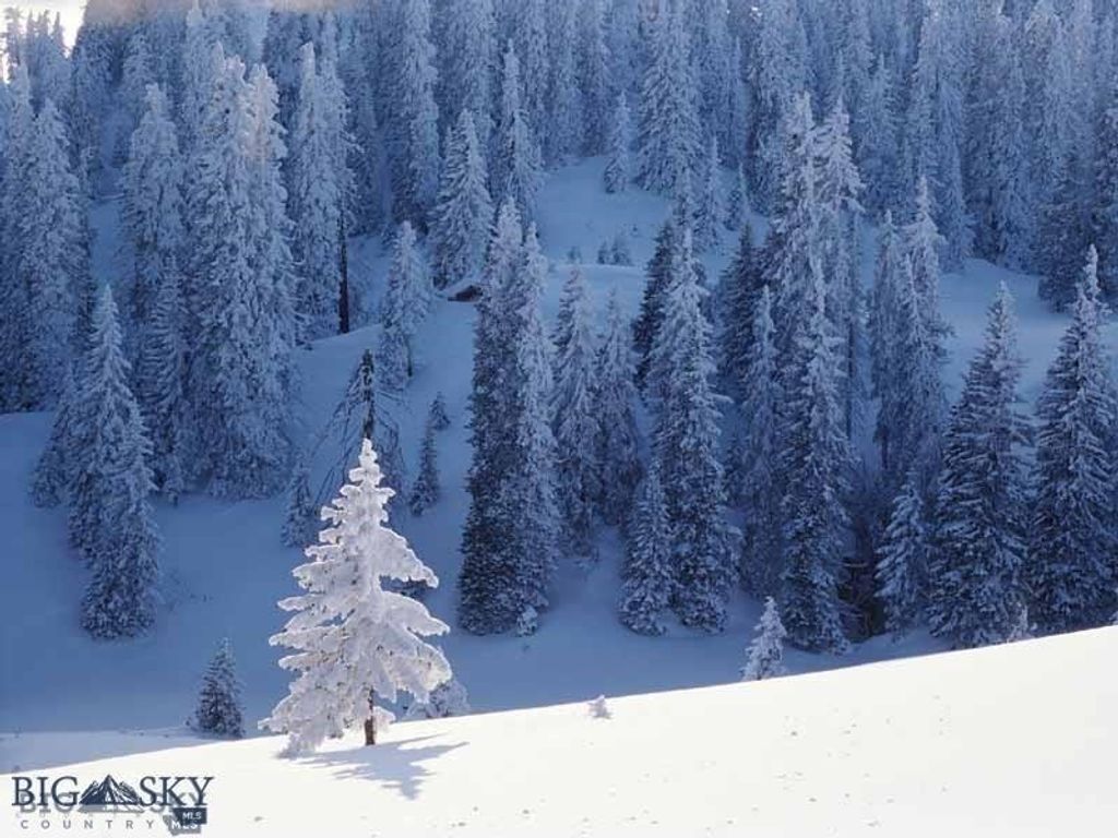 TBD Lookout Trail, Ramsay, MT 59701 photo 38