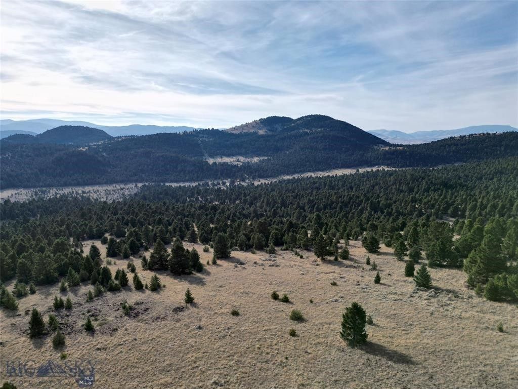 TBD Lookout Trail, Ramsay, MT 59701 photo 39