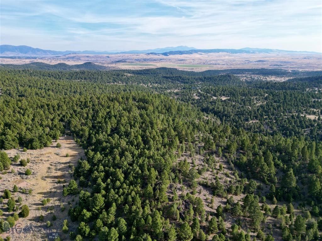 TBD Lookout Trail, Ramsay, MT 59701 photo 40