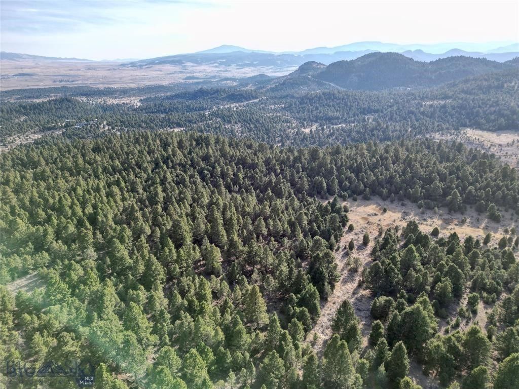 TBD Lookout Trail, Ramsay, MT 59701 photo 41