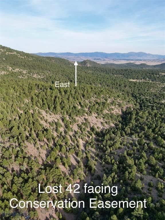 TBD Lookout Trail, Ramsay, MT 59701 photo 7