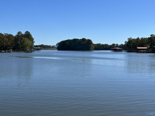 230 County Road 617, Cedar Bluff, AL 35959