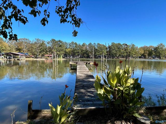 230 County Road 617, Cedar Bluff, AL 35959