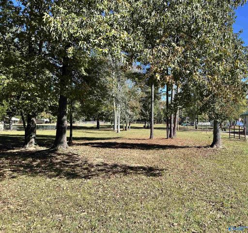 230 County Road 617, Cedar Bluff, AL 35959