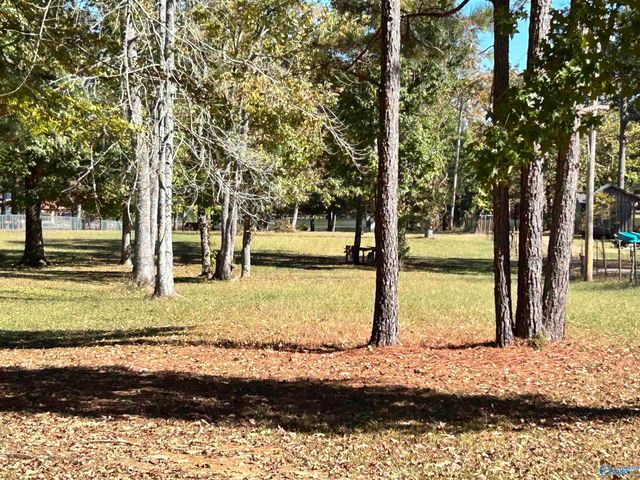 230 County Road 617, Cedar Bluff, AL 35959