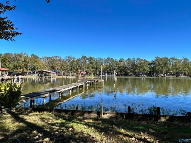 230 County Road 617, Cedar Bluff, AL 35959