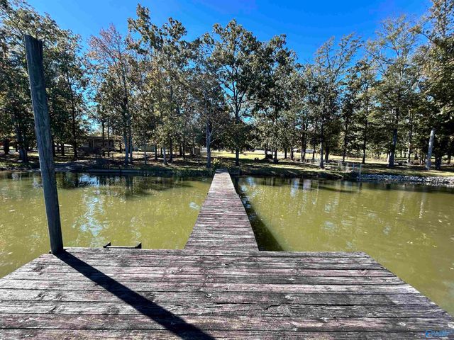 230 County Road 617, Cedar Bluff, AL 35959