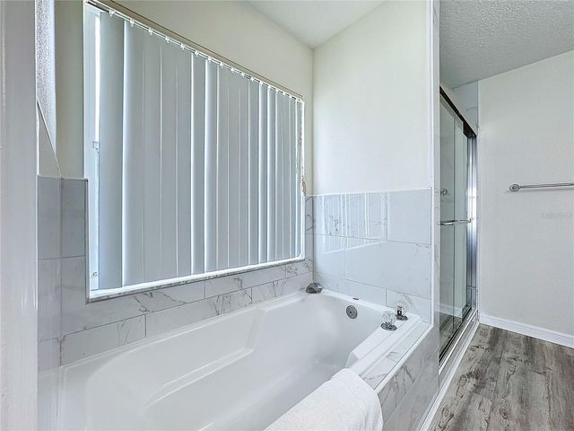 458 HOLLINGHEAD LOOP, Davenport, FL 33896
