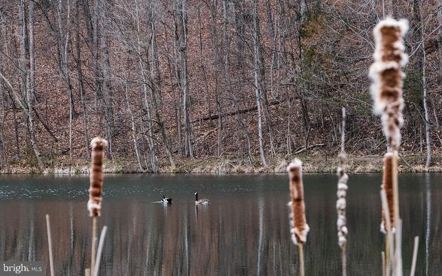 1331 DRUMMER HILL RD, Front Royal, VA 22630