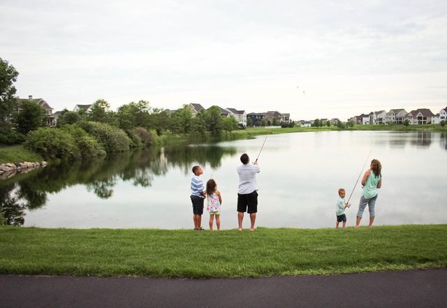 16782 Draft Horse Court, Lakeville, MN 55044