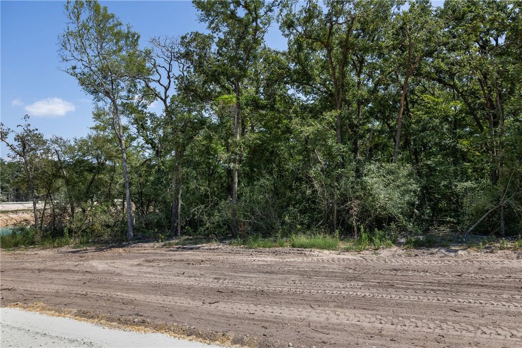 Lot #1 Sunny James Lane, Franklin, TX 77856 — photo 3