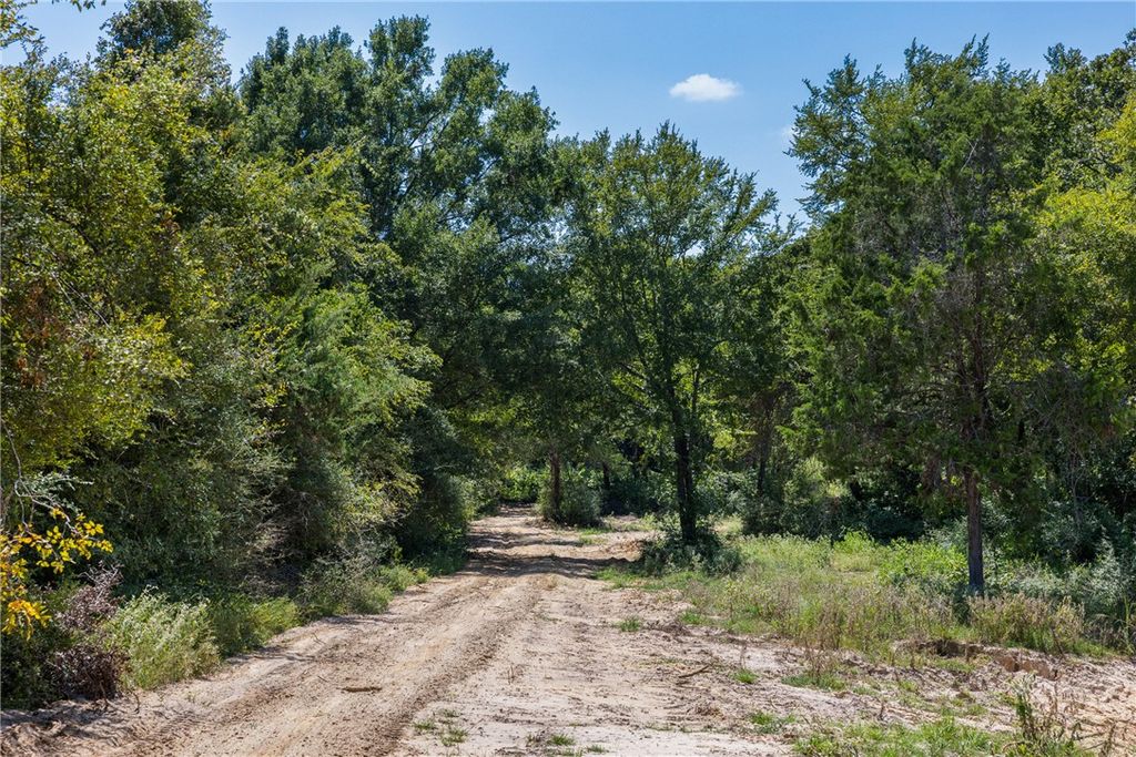 Lot #1 Sunny James Lane, Franklin, TX 77856 — photo 4
