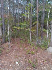 TBD Sean River Rd., Conway, SC 29526