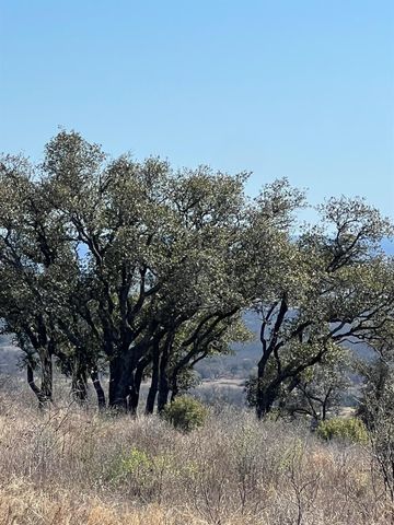 Lot 25 Southview CT, Kingsland, TX 78639