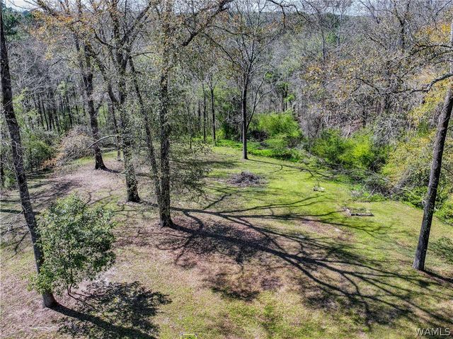 1450 Hurricane, Cottondale, AL 35453