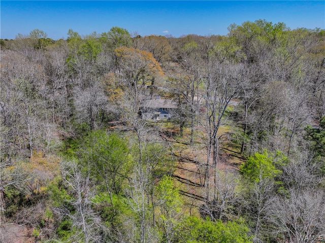 1450 Hurricane, Cottondale, AL 35453