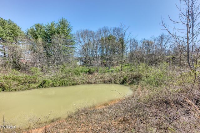145 Claude Simmons Road, Johnson City, TN 37604