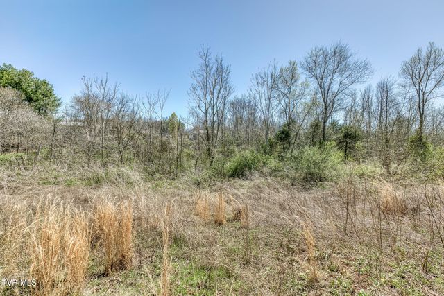 145 Claude Simmons Road, Johnson City, TN 37604