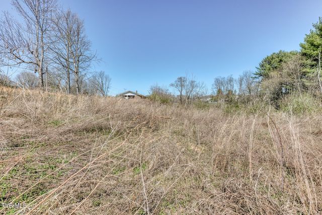 145 Claude Simmons Road, Johnson City, TN 37604