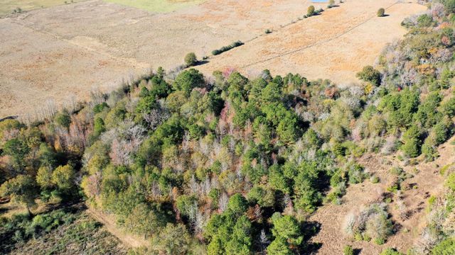 596 County Road 3057, Crockett, TX 75835