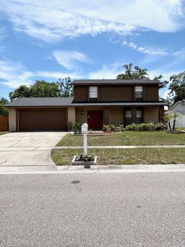 12417 CARDIFF DRIVE, Tampa, FL 33625