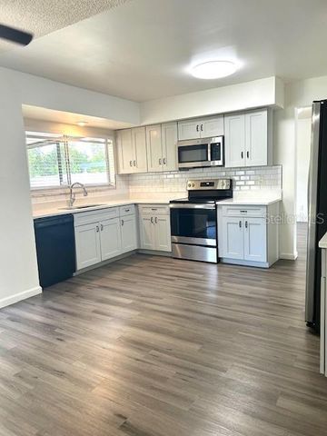 12417 CARDIFF DRIVE, Tampa, FL 33625