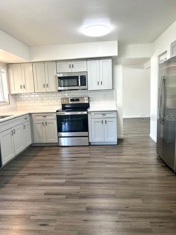 12417 CARDIFF DRIVE, Tampa, FL 33625