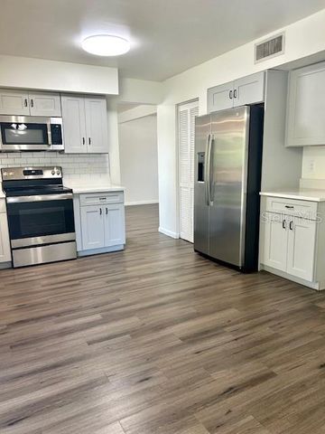 12417 CARDIFF DRIVE, Tampa, FL 33625