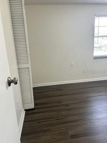 12417 CARDIFF DRIVE, Tampa, FL 33625