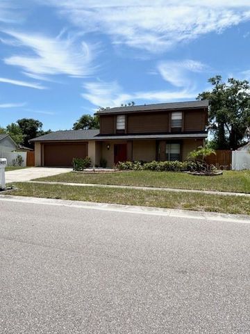 12417 CARDIFF DRIVE, Tampa, FL 33625