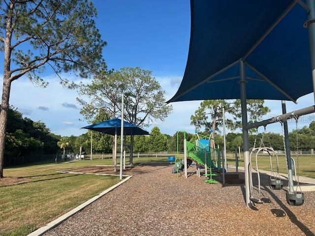 12417 CARDIFF DRIVE, Tampa, FL 33625