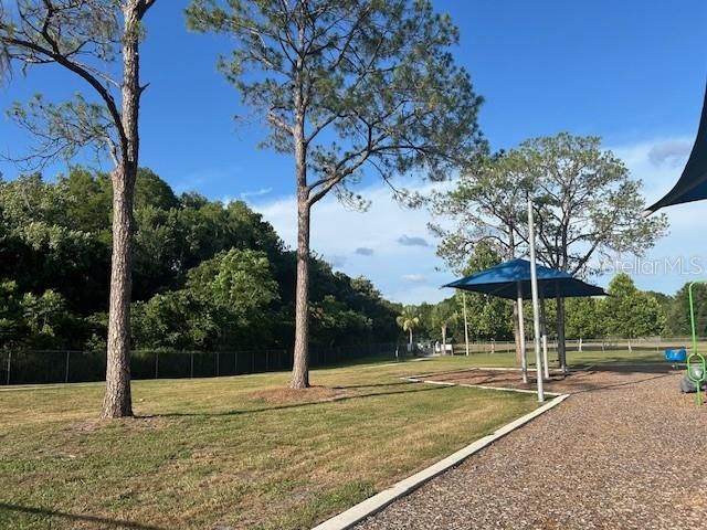 12417 CARDIFF DRIVE, Tampa, FL 33625
