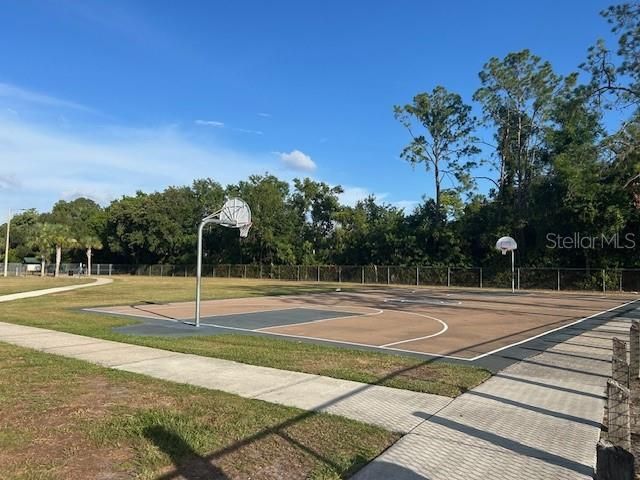 12417 CARDIFF DRIVE, Tampa, FL 33625
