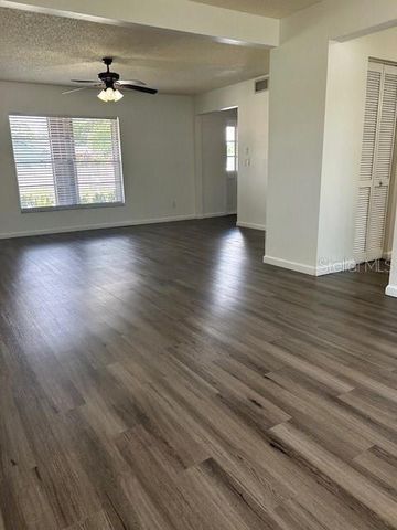 12417 CARDIFF DRIVE, Tampa, FL 33625