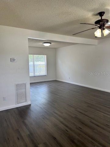 12417 CARDIFF DRIVE, Tampa, FL 33625
