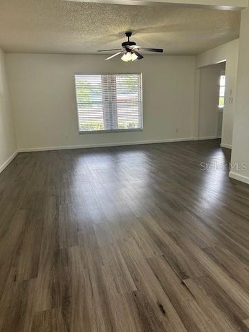 12417 CARDIFF DRIVE, Tampa, FL 33625
