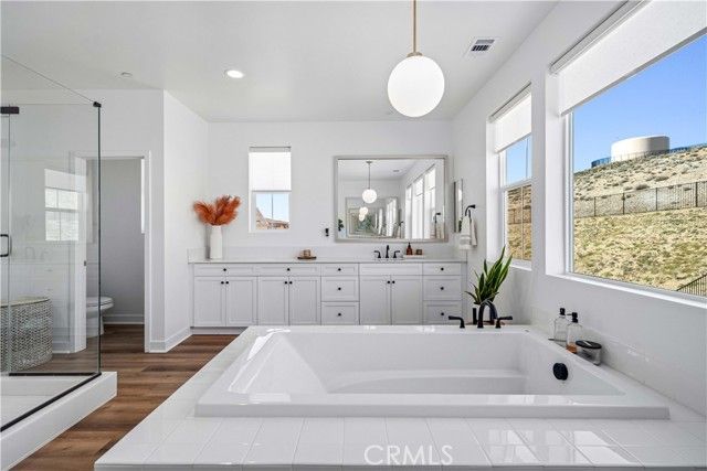 39342 Stallion, Palmdale, CA 93551