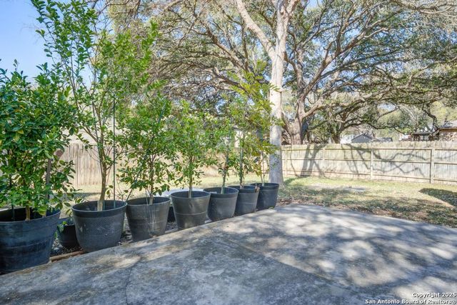 2717 Poplar Grove, Schertz, TX 78154