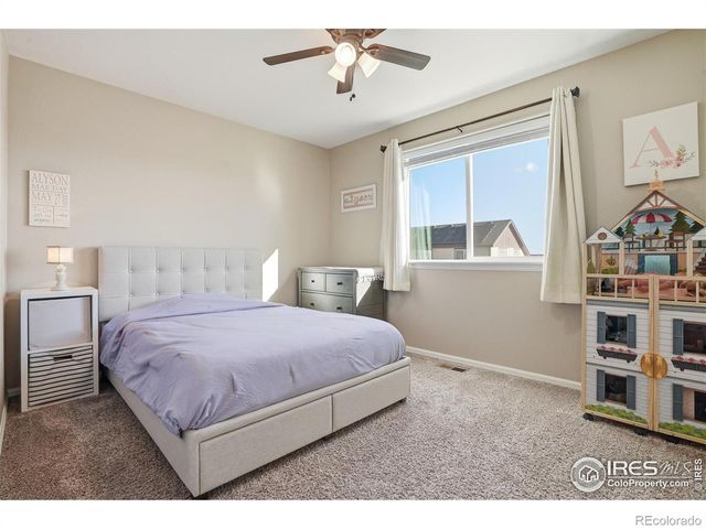 1102 Tur Street, Severance, CO 80550