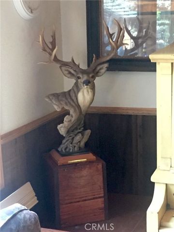 9112 Torrey Pines Road, Forest Falls, CA 92339