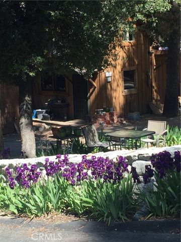 9112 Torrey Pines Road, Forest Falls, CA 92339