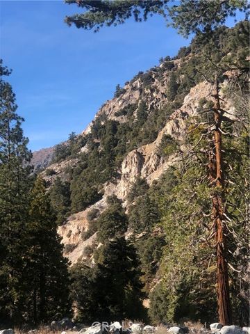 9112 Torrey Pines Road, Forest Falls, CA 92339