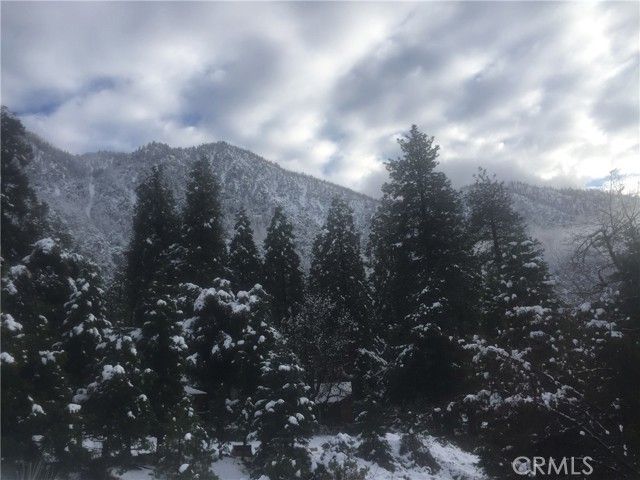 9112 Torrey Pines Road, Forest Falls, CA 92339