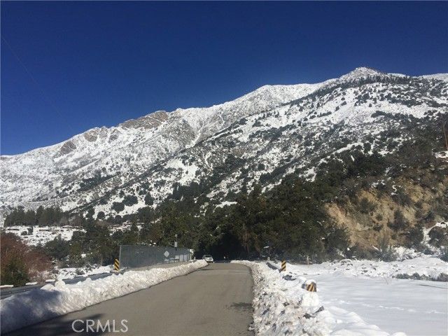 9112 Torrey Pines Road, Forest Falls, CA 92339