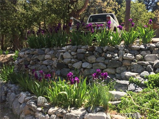 9112 Torrey Pines Road, Forest Falls, CA 92339