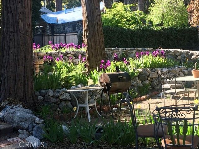 9112 Torrey Pines Road, Forest Falls, CA 92339