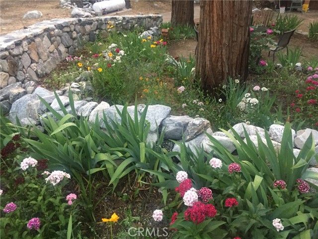 9112 Torrey Pines Road, Forest Falls, CA 92339