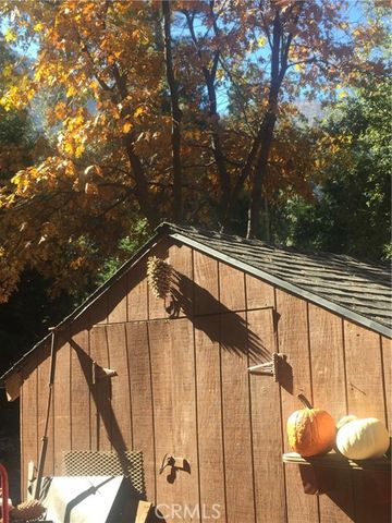 9112 Torrey Pines Road, Forest Falls, CA 92339